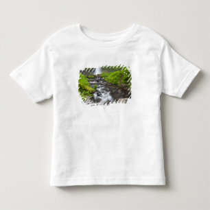 Camiseta Infantil EUA, Oregon, Columbia River Gorge, Latourell