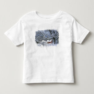 Camiseta Infantil EUA, Oregon, Condado de Clackamas. Neve fresca