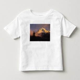 Camiseta Infantil EUA, Oregon, Floresta Nacional de Mt. Hood. Roland