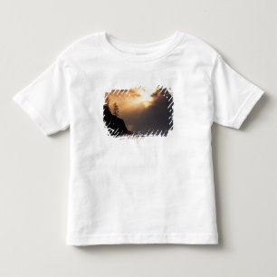 Camiseta Infantil EUA, Oregon, perto de Oswald West State Park, Tard