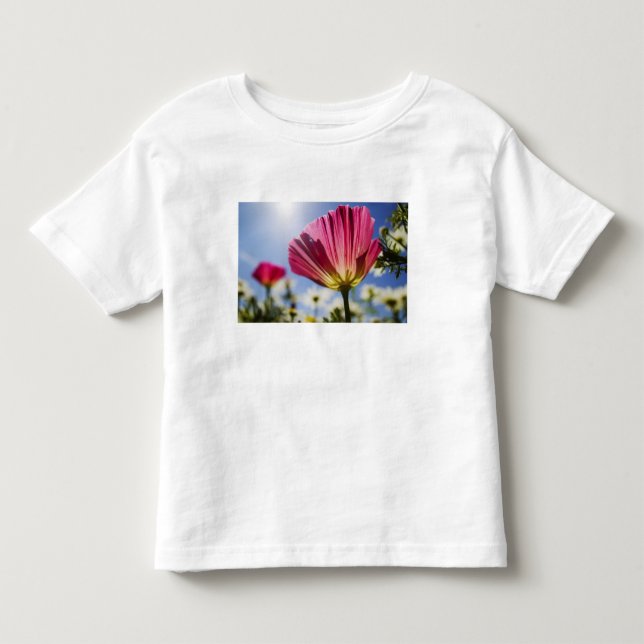 Camiseta Infantil EUA, Oregon, Vale do Willamette, Close UP de (Frente)