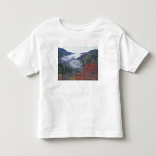 Camiseta Infantil EUA, Tennessee, Excelente Smokey Mountains Nationa
