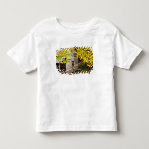Camiseta Infantil EUA, Tennessee, Gatlinburg. Grandes Smoky