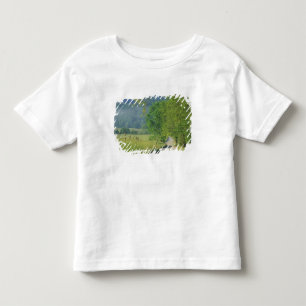Camiseta Infantil EUA, Tennessee, Great Smoky Mountains NP,