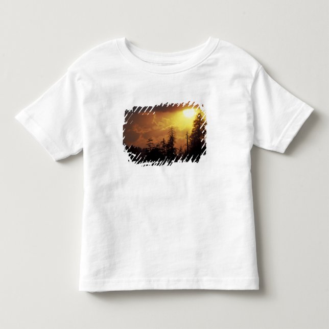 Camiseta Infantil EUA, Tennessee, Montanhas Enfumaçados Excelentes N (Frente)