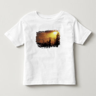 Camiseta Infantil EUA, Tennessee, Parque Nacional Great Smoky Mounta