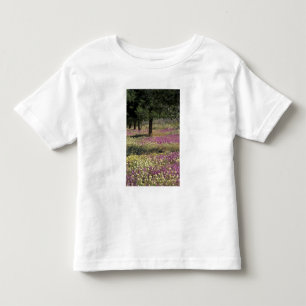 Camiseta Infantil EUA, Texas, Sand Verbena e Olhos Castanhos