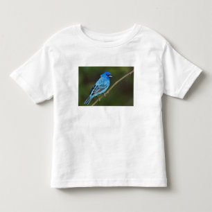 Camiseta Infantil EUA, Texas, South Padre Island