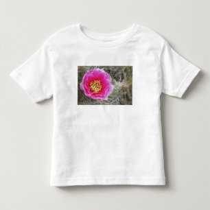 Camiseta Infantil EUA, Utah, Parque Nacional Canyonlands, Pera Espin