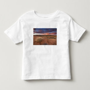 Camiseta Infantil EUA, Utah. Pôr do sol em Poison Spider Mesa perto
