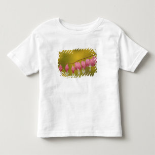 Camiseta Infantil EUA, Virgínia, Arlington, close-up do rosa