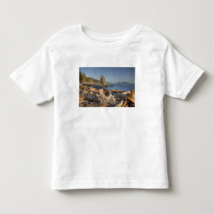 Camiseta Infantil EUA, Washington, Parque Nacional Olímpico, Rialto
