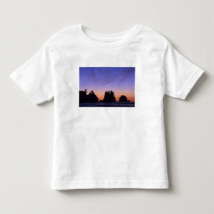 Camiseta Infantil EUA, Washington, Parque Nacional Olímpico, Shi-shi