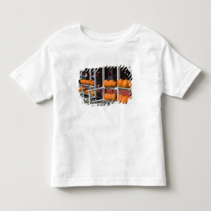 Camiseta Infantil EUA, WISCONSIN, Washburn: Costa do Lago Superior,