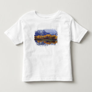 Camiseta Infantil EUA, Wyoming, Grand Teton National Park. Mt.