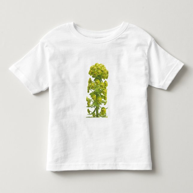Camiseta Infantil Eufórbio (Frente)