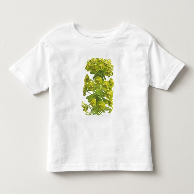 Camiseta Infantil Eufórbio (Frente)