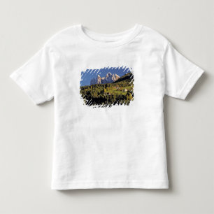 Camiseta Infantil Europa, Itália, San Pietro. O grupo Odle parece