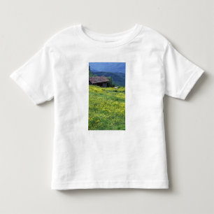 Camiseta Infantil Europa, Itália, Toscana, Siena, Chianti.