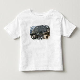 Camiseta Infantil Europa, Itália, Valle d'Aosta, COURMAYEUR: Cidade