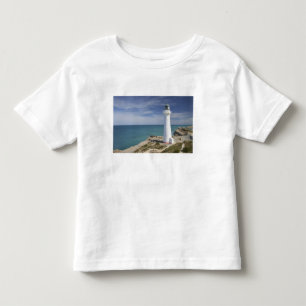 Camiseta Infantil Farol Castle Point, Castlepoint, Wairarapa,