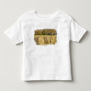 Camiseta Infantil Fazenda histórica no rio nacional de Buffalo,