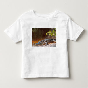 Camiseta Infantil Feche um jacaré americano no J.N.