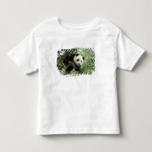 Camiseta Infantil Filhote de Panda Gigante sobe em uma árvore, Vale 
