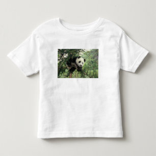 Camiseta Infantil Filhote de panda gigante sobe em uma árvore, Vale