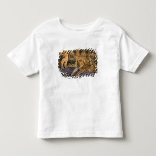 Camiseta Infantil Filhotes de leão no registro, Panthera leo, Masai
