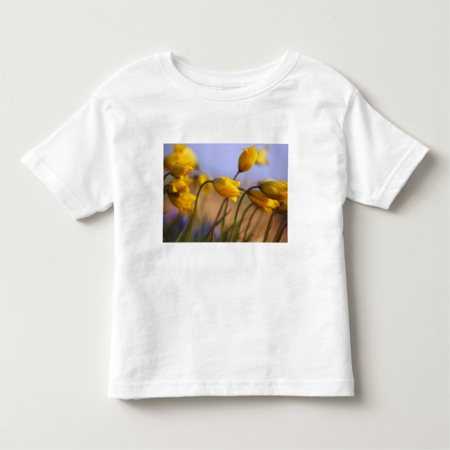 Camiseta Infantil Fim-acima dos daffodils (Frente)