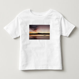 Camiseta Infantil Flamingo Chileno