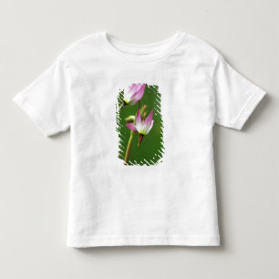 Camiseta Infantil Flor de estrela cadente, Califórnia, EUA