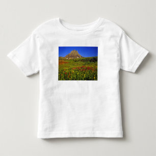 Camiseta Infantil Flores silvestres alpinas em Logan Pass no Glaciar