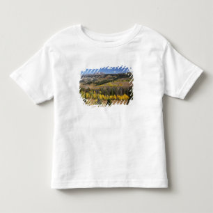 Camiseta Infantil Floresta Nacional de Bridger-Teton