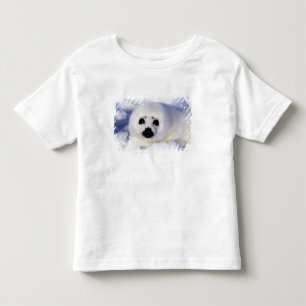 Camiseta Infantil Foca-bebê harpa no gelo Golfo de São Lourenço,