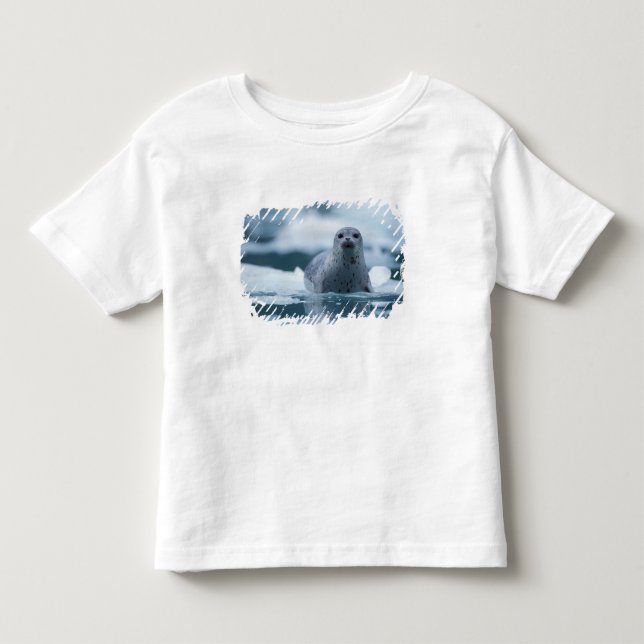 Camiseta Infantil foca-comum-do-pacífico, Phoca vitulina richardsi (Frente)