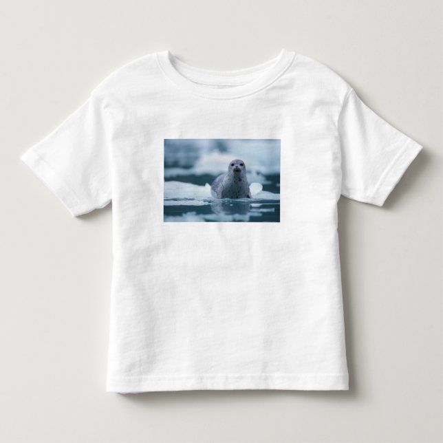 Camiseta Infantil foca-comum-do-pacífico, Phoca vitulina richardsi (Frente)