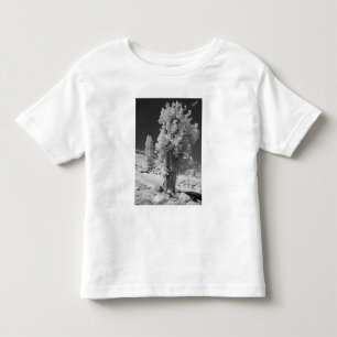 Camiseta Infantil Foto infravermelha no lado leste do Parque Naciona