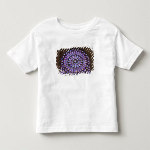 Camiseta Infantil França, Paris. Detalhe interior de vitral