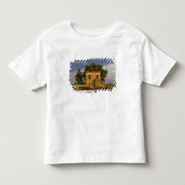 Camiseta Infantil França, Provença. Campo de lavanda e (Frente)