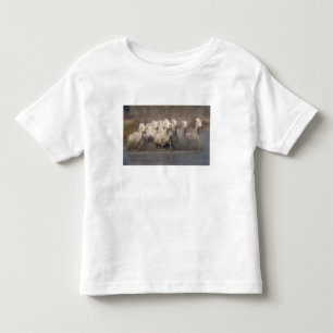 Camiseta Infantil França, Provença. Cavalos brancos Camargue corrend
