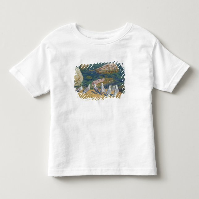 Camiseta Infantil Gaivota, 1910 (Frente)