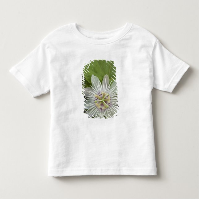 Camiseta Infantil Galápagos Flor Passiflora foetida (Frente)