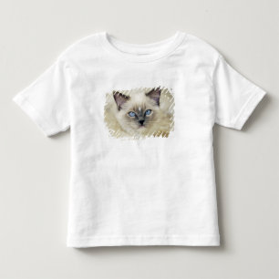 Camiseta Infantil gatinho Ragdoll