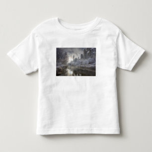 Camiseta Infantil Geada ao longo de um slough na Kelly Island