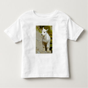 Camiseta Infantil Glacier National Park, Montana, EUA, Mountain