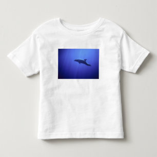 Camiseta Infantil Golfinho