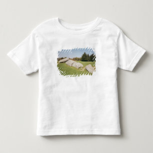 Camiseta Infantil Homem-er-Hroech'h