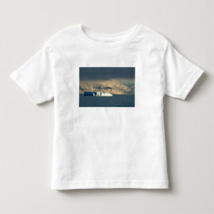 Camiseta Infantil Iceberg no início da Passagem de Drake logo